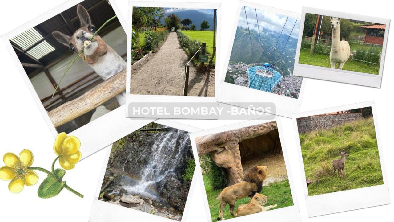 Hotel Bombay بانيوس المظهر الخارجي الصورة